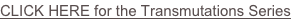 shapeimage_2_link_0